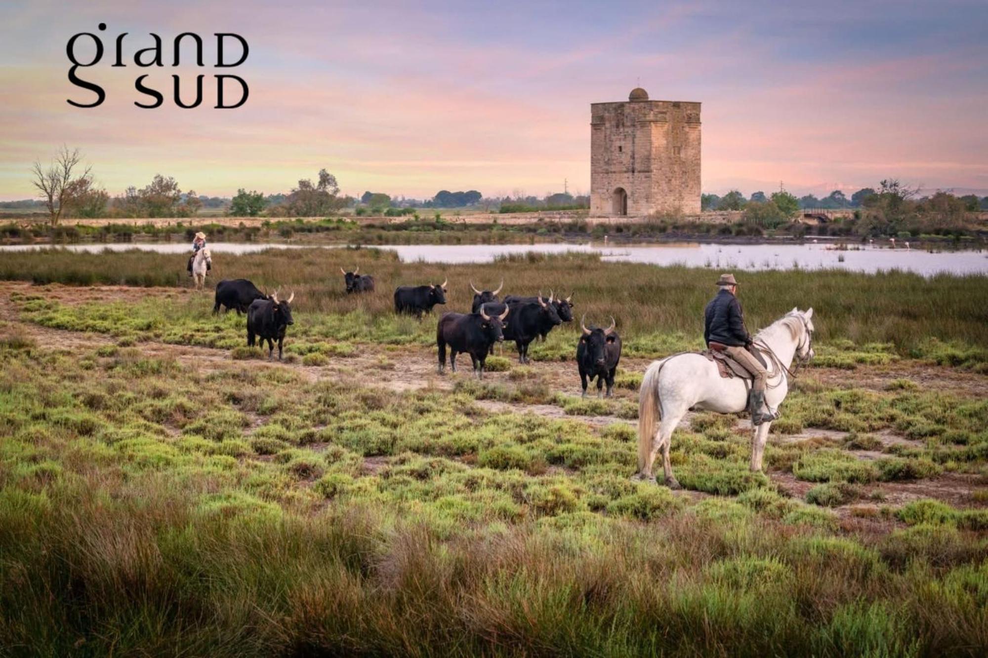 APPARTEMENT VUE MER Port Camargue 4 couchages résidence Le Flamant Le Grau-du-Roi Esterno foto
